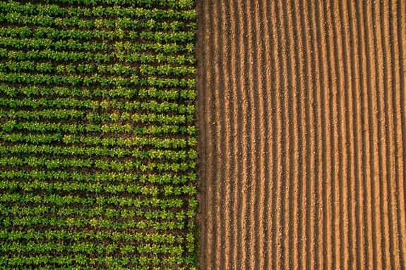 Aerial view ; Rows of soil before planting
