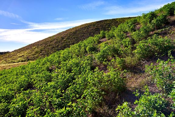 Syensqo Corporate photography