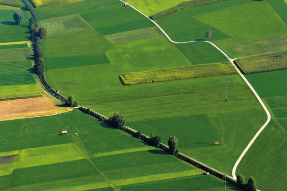 high angle photography of green plant
