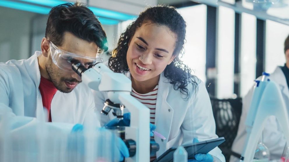 researchers